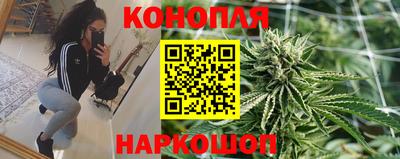 гидропоника Краснознаменск