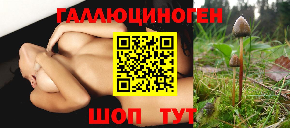 Галлюциногенные грибы мицелий  Вход с VPN  Ковров 