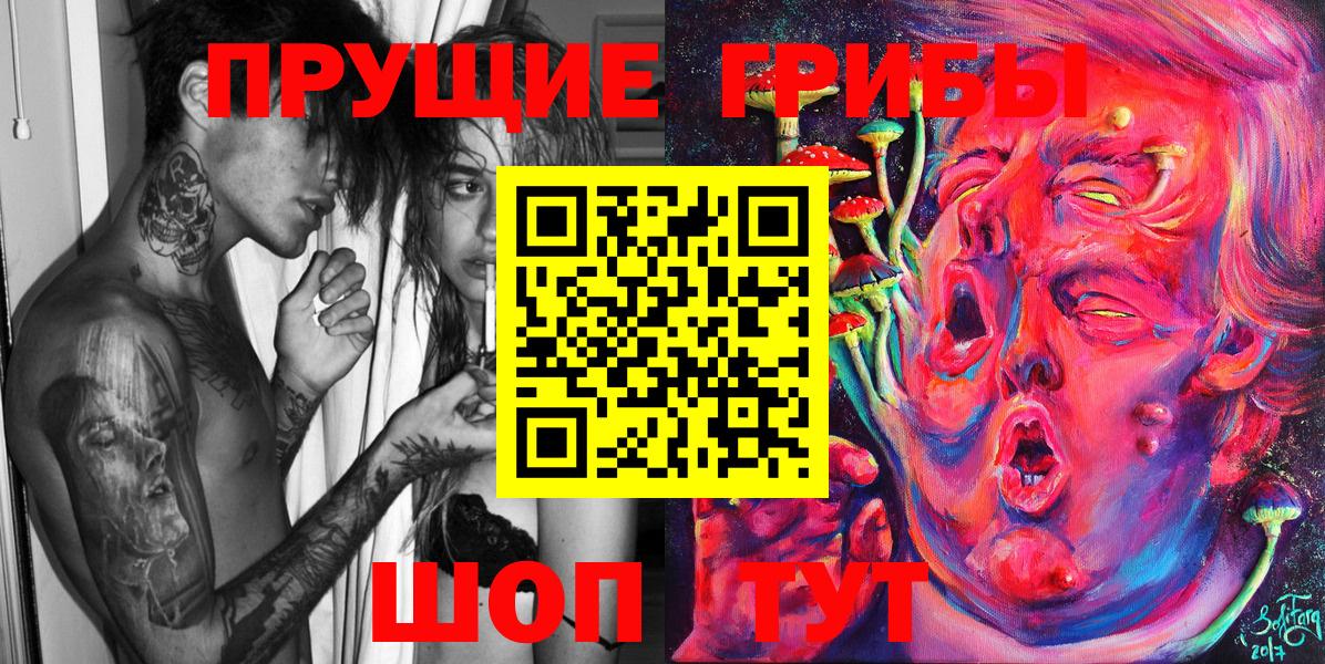 Псилоцибиновые грибы Psilocybine cubensis Ковров